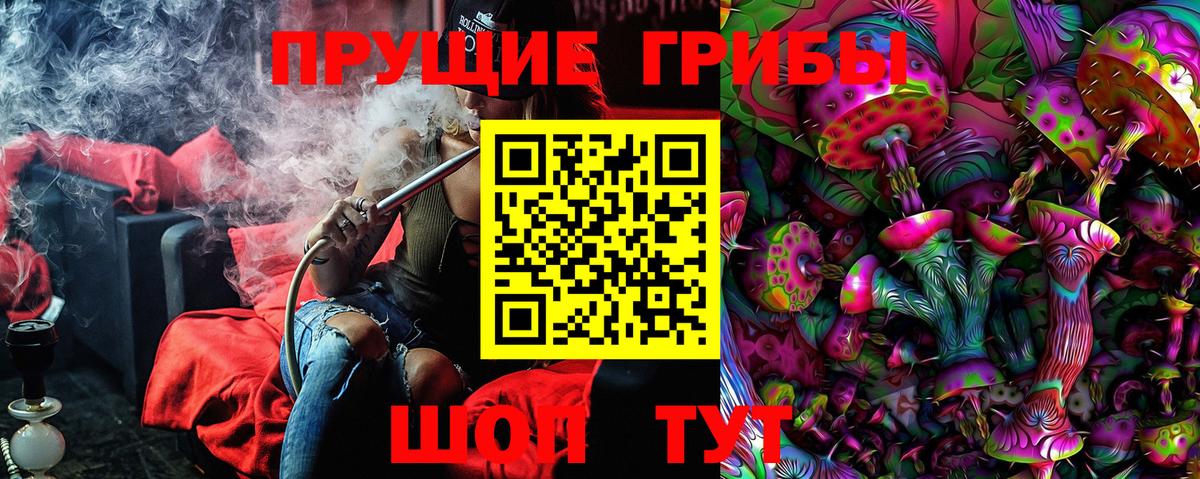 Галлюциногенные грибы MAGIC MUSHROOMS Кудымкар
