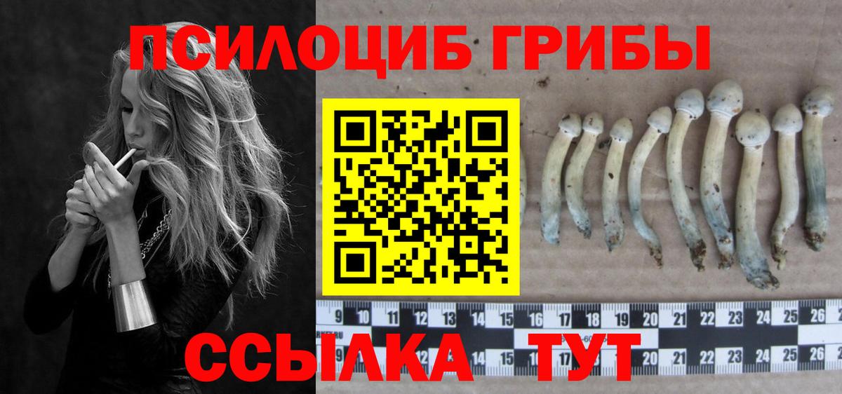 Кудымкар  Псилоцибиновые грибы GOLDEN TEACHER  Вход с VPN 